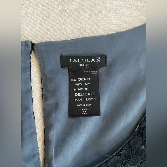 Aritzia Talula Fleetwood Lace Dress - Picture 7 of 10